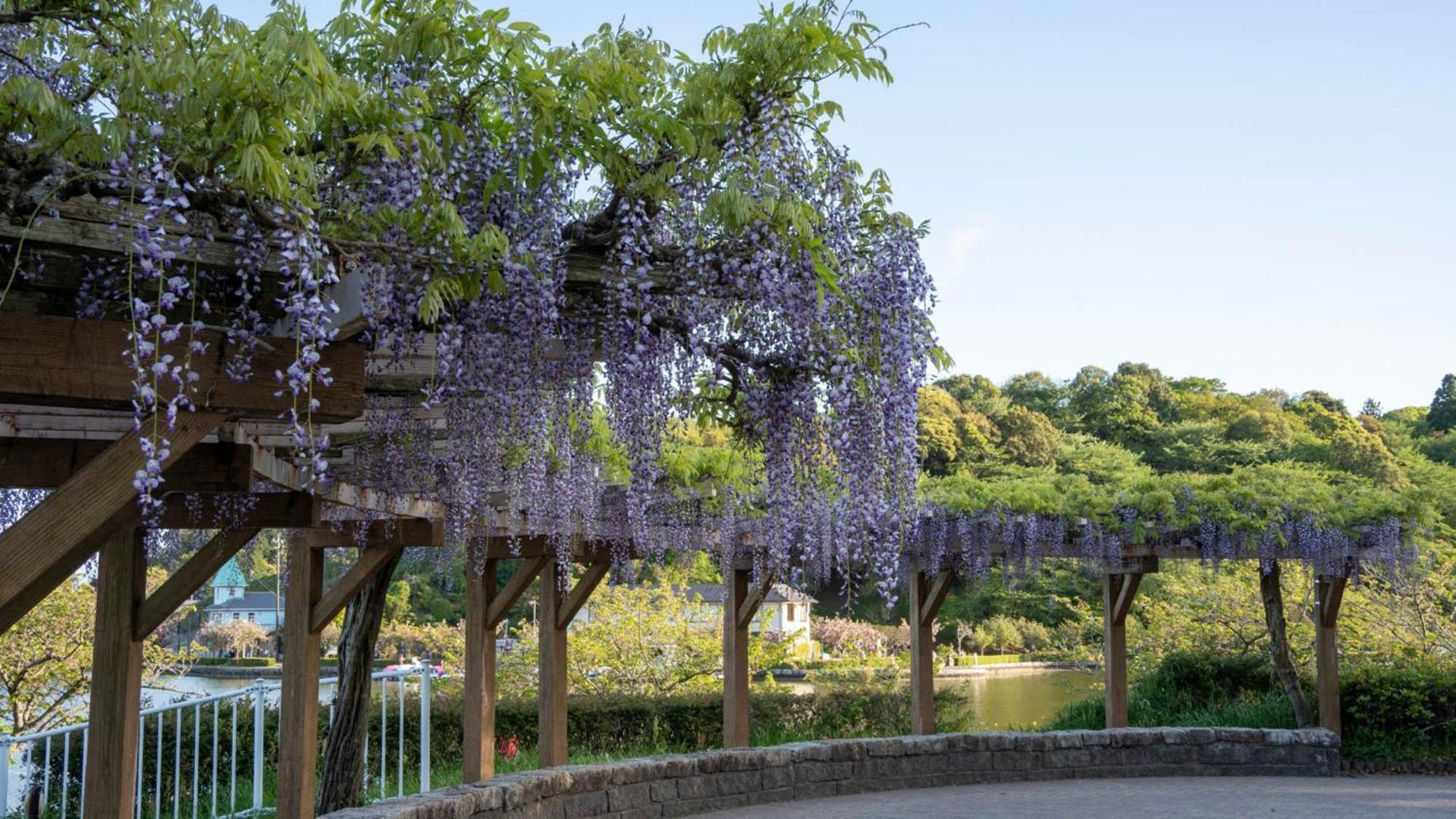 โทโยโกะ อินน์ ฟูจิเอะดะ เอกิ คีตะกูชิ Fujieda ภายนอก รูปภาพ